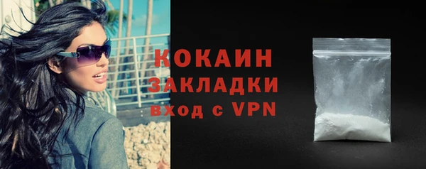 твердый Алексин