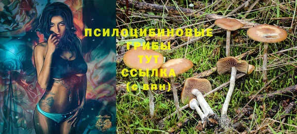 индика Алзамай