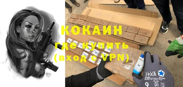 твердый Алексин