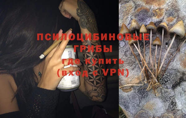 индика Алзамай