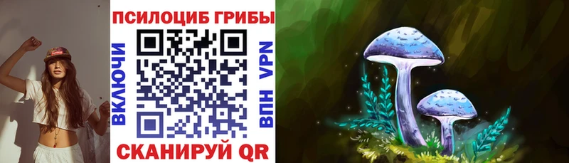где можно купить наркотик  Свирск  kraken как зайти  Галлюциногенные грибы Cubensis 